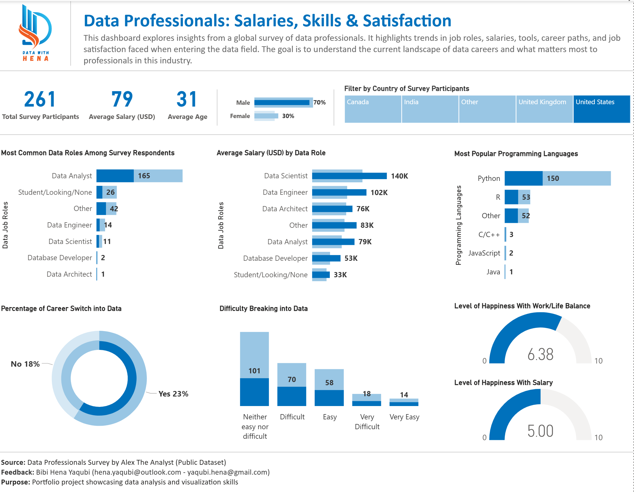 Data Professionals Survey Dashboard - View 4